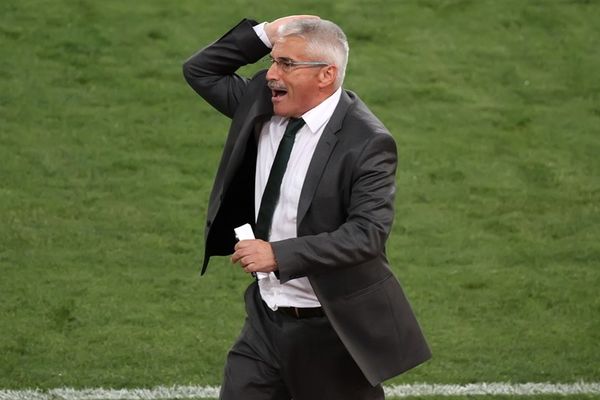 Παναθηναϊκός: «Άδειασμα» Φάμπρι, υπ’ ατμόν ο Ισπανός