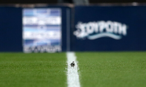 Live Chat οι αγώνες της 29ης αγωνιστικής της Super League